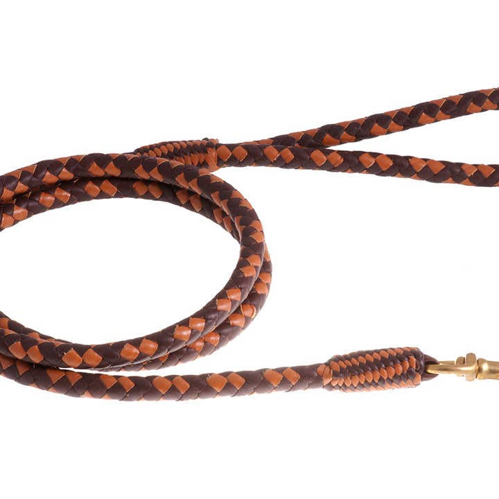 Alvalley - Wholesale Pet Leash - Dog - Braided Leather Snap Leads88