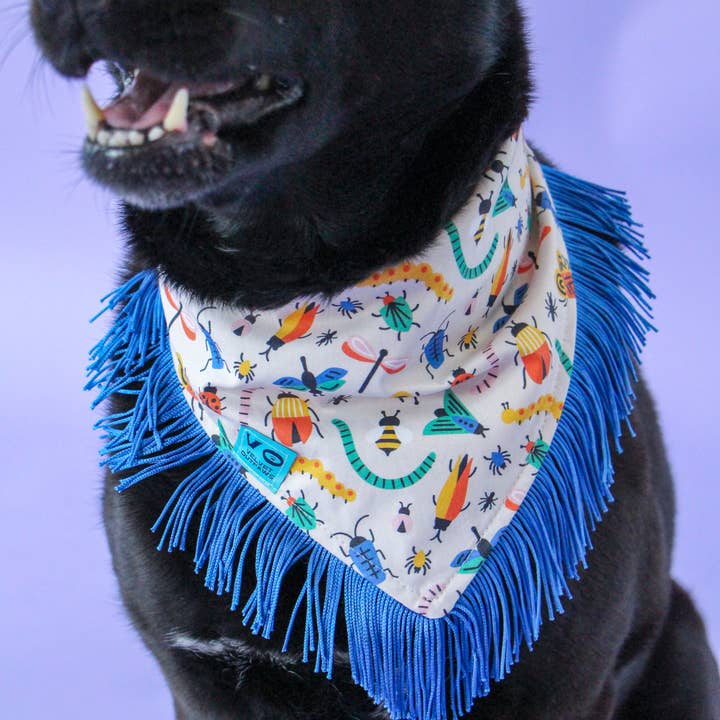 Velvet Outlaw - Wholesale Pet Bandana - Dog - Bugs with Blue Fringe Dog Bandana