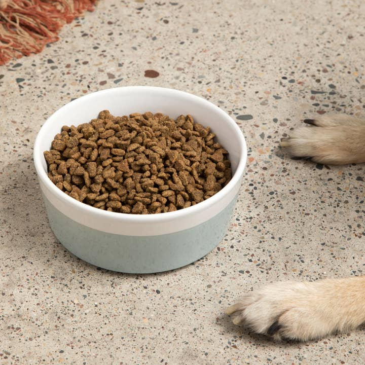 Waggo - Wholesale Pet Bowl - Cat/Dog - Dipper Ceramic Dog Bowl12