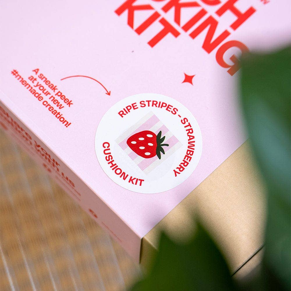 Craft Club - Wholesale DIY Craft Kit - STRAWBERRY RIPE STRIPES - Latch Hook Cushion Kit12