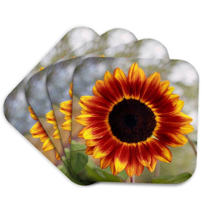 3dRose, Fotografia macro di un girasole rosso e giallo brillante in piena fioritura., Sottobicchiere per la vendita all'ingrosso da parte di 3dRose