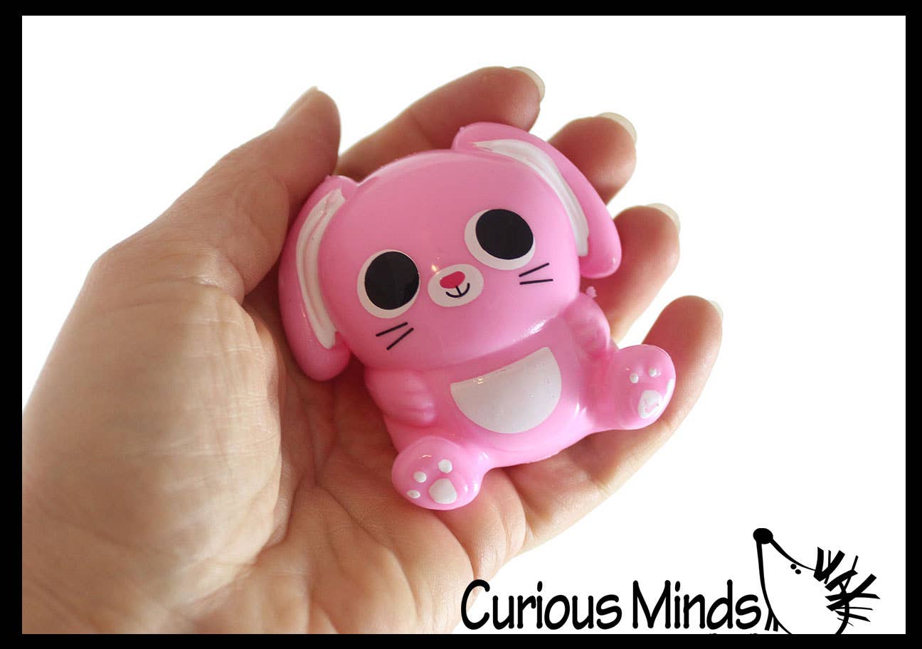 Curious Minds Toys - Wholesale Squishy Toy - Kids & Baby - 1 Bunny Splat Ball - Water Filled Splat Stress Ball - Throw 3