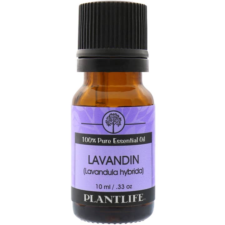 Lavandin Essential Oil for wholesale by Plantlife