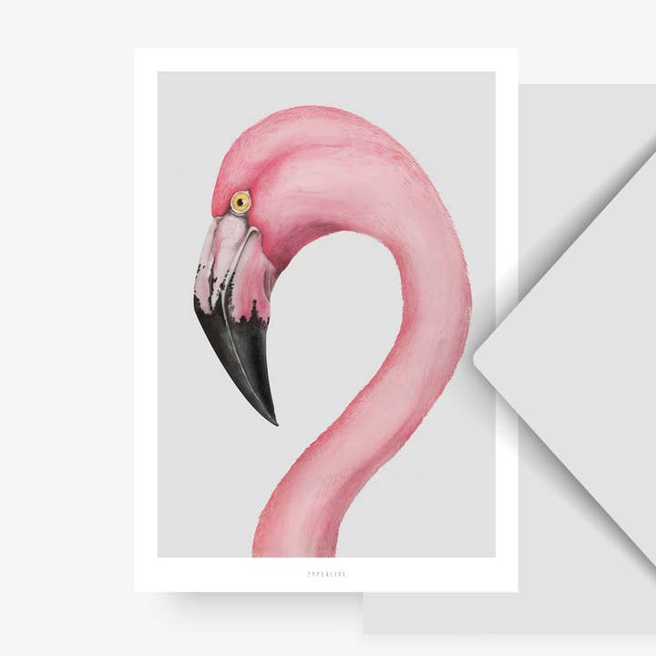 Postcard/Flamingo for wholesale by typealive