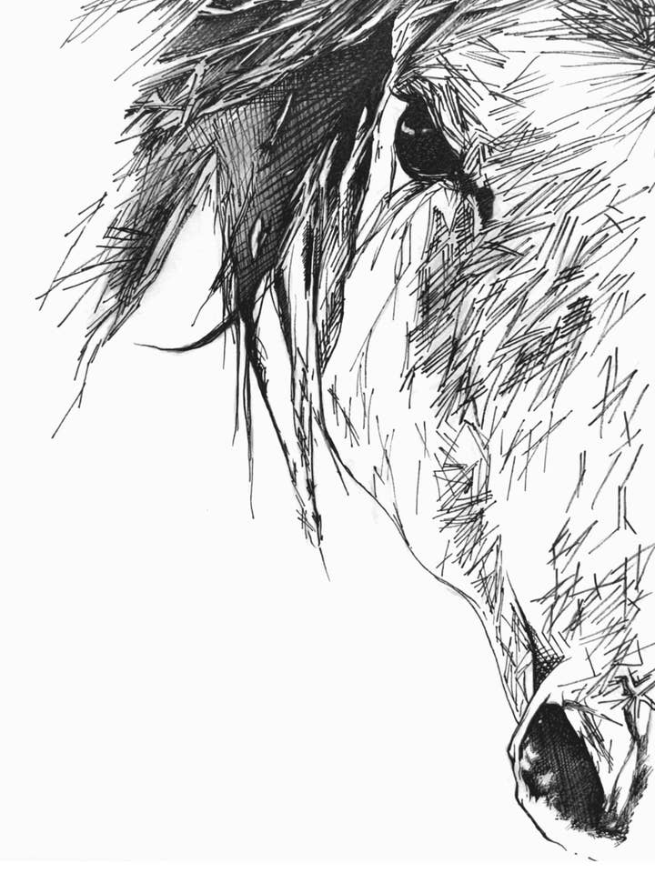 Horse Line Art Wall Art Print for wholesale by Kellie Cooke Art