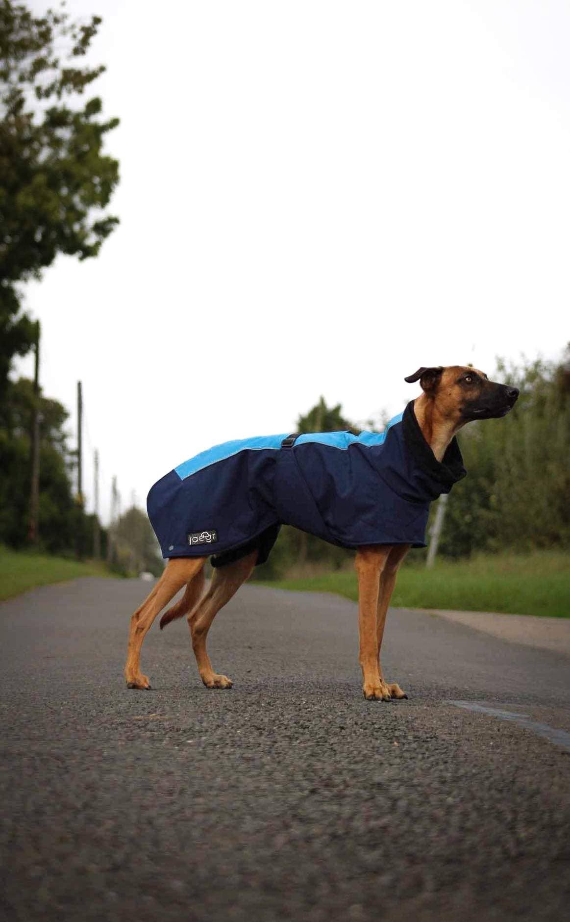 Jaegr l DOGWEAR – casaco - Cão por atacado – Jager Supreme Coat - Linha Highlighter