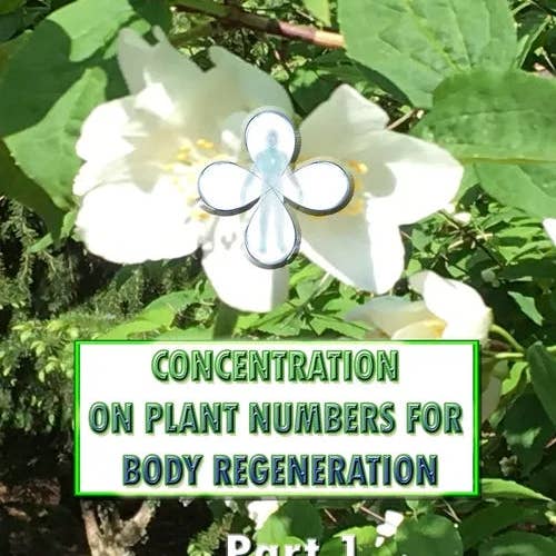 Books by splitShops - Wholesale Book - Adult - Concentration on Plant Numbers for Body Regeneration - Paperback0