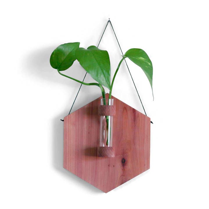 Cedar Hexagon Propagation Station for wholesale by Keystone Inspired Co.