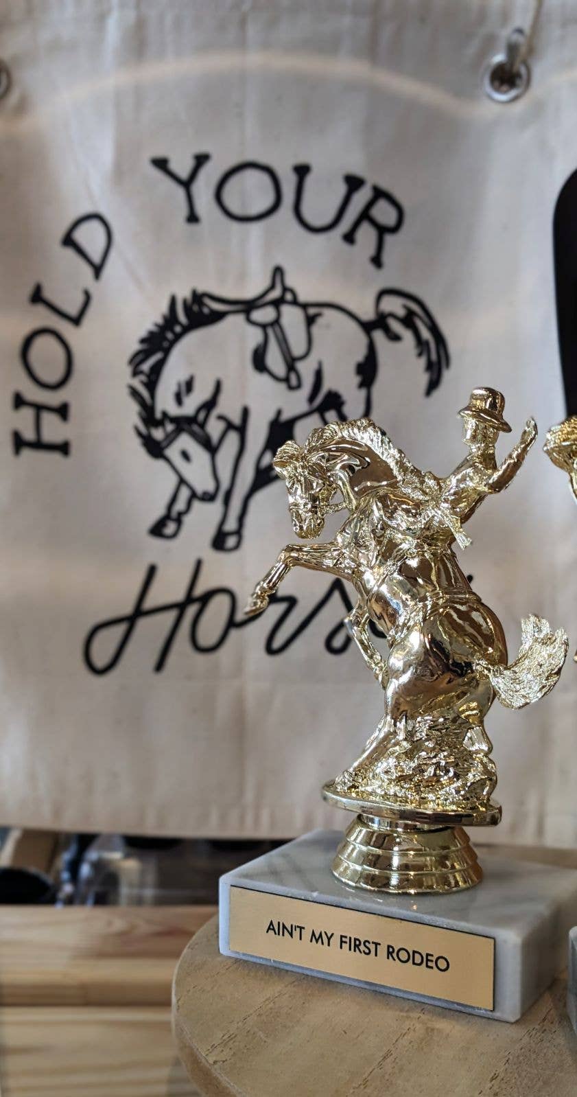 Johnny and June - Wholesale Decorative Figurine - Ain't My First Rodeo Trophy1