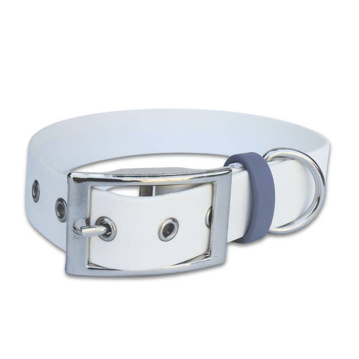 Pâtisson, collare per cani Biothane fatto a mano in Francia per la vendita all'ingrosso da parte di Stylidog