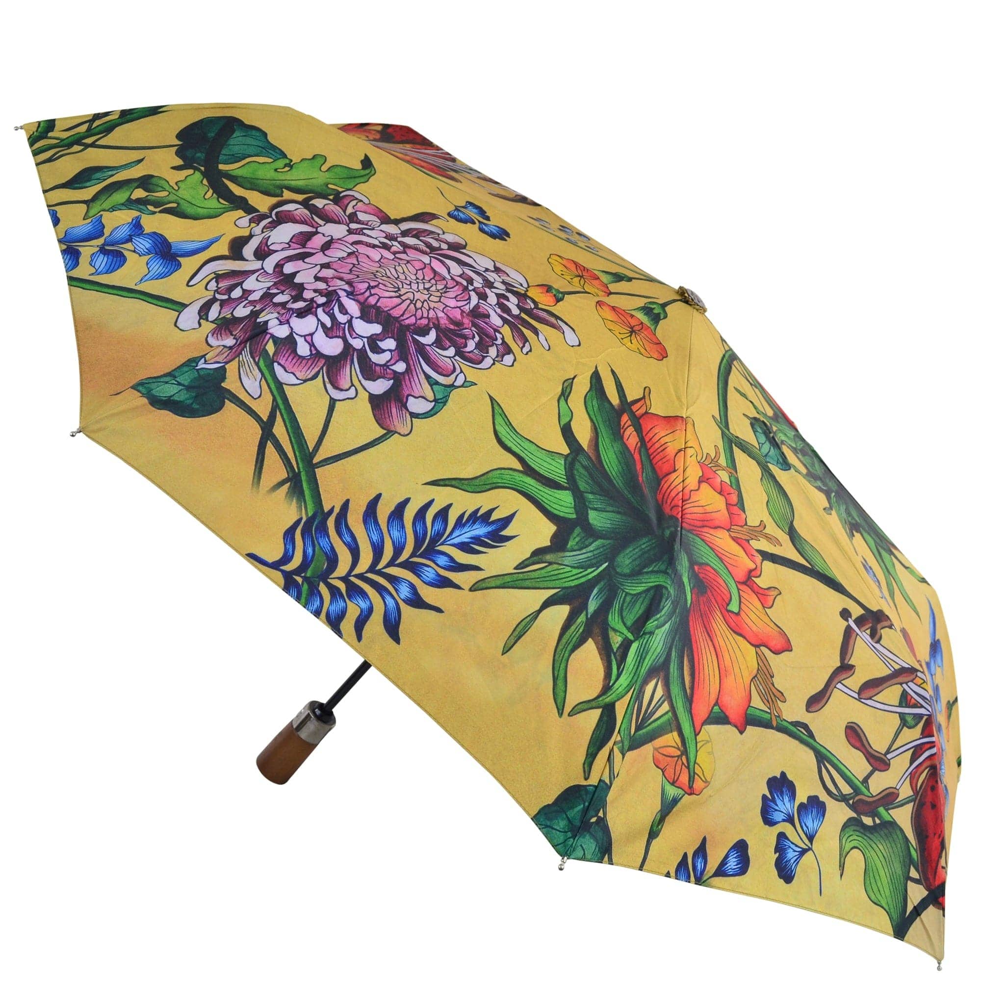 Anuschka | Vanya Lara (USA) - Wholesale Umbrella - Women's - Auto Open/ Close Printed Umbrella - 31001