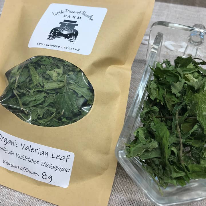 Folha de Valeriana Biológica, Valeriana officinalis, Ervas Cultivadas em Fazenda Canadense Sustentável por atacado de Little Piece of Paradise Farm Inc.