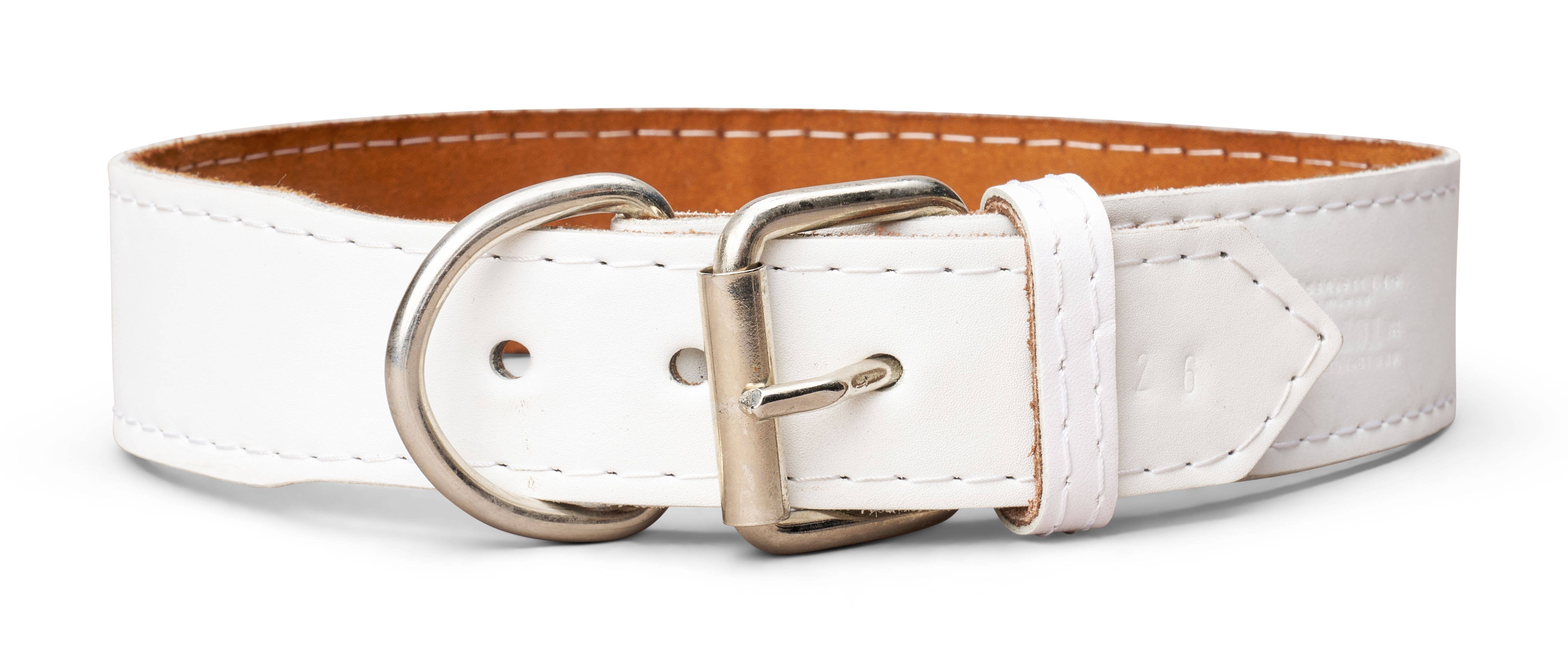 TOP DOG BRAND INC - Wholesale Pet Collar - Dog - 1 3/4 Inch Wide Plain Leather Collars9
