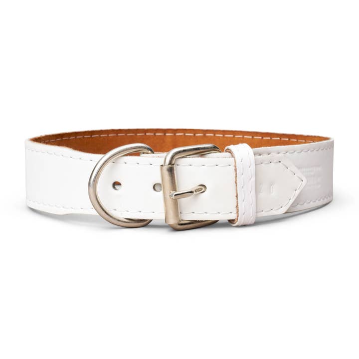 TOP DOG BRAND INC - Wholesale Pet Collar - Dog - 1 3/4 Inch Wide Plain Leather Collars9