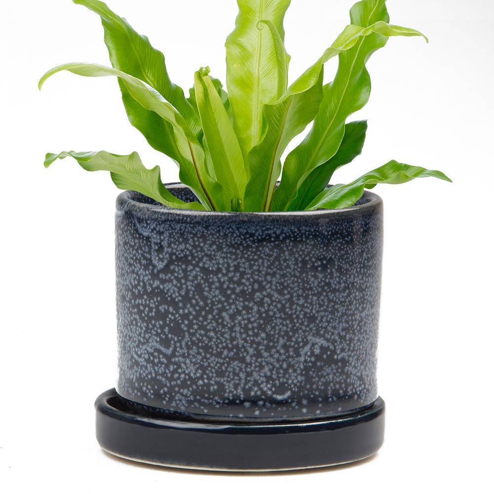 Chive UK - Wholesale Plant Pot - Minute - Glazed Modern Ceramic Pot with Saucer5