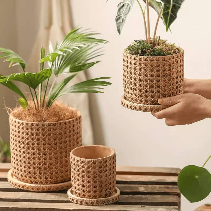 Rustic Reach - Wholesale Plant Pot - Faux Woven Grid Cement Pot