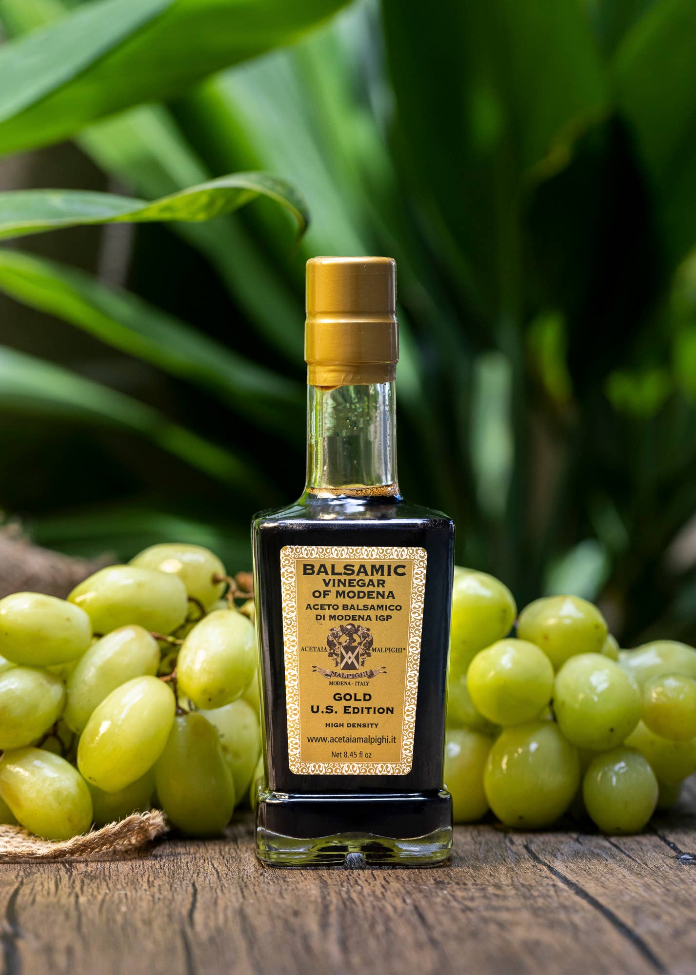 USA Distribution by Taycte - Wholesale Vinegar - Gold  IGP Balsamic Vinegar of Modena 250mL, Aged 15-20 Years4