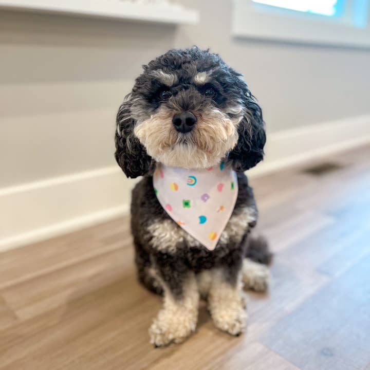 Briggs & Rory - Wholesale Pet Bandana - Dog - Lucky Charm Dog Bandana2