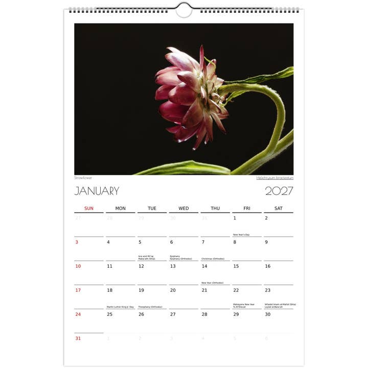 Sunbasking Florals Vertical Ledger Wall Calendar 2027 (US & CANADA) for wholesale by Christina Siu Photography