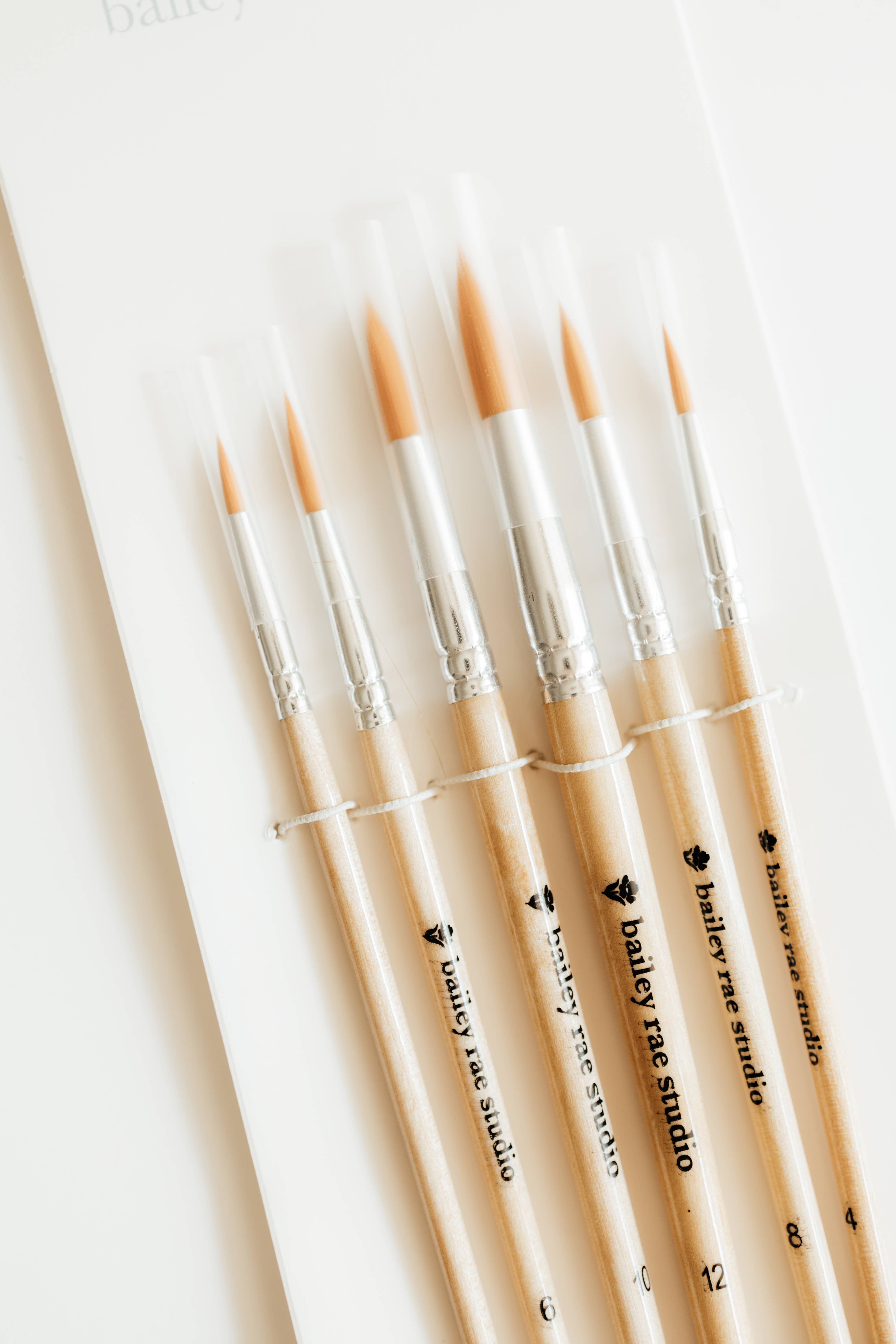 Bailey Rae Studio - Wholesale Watercolor Paint - Round Tip Watercolor Brush Set -- 6 piece4