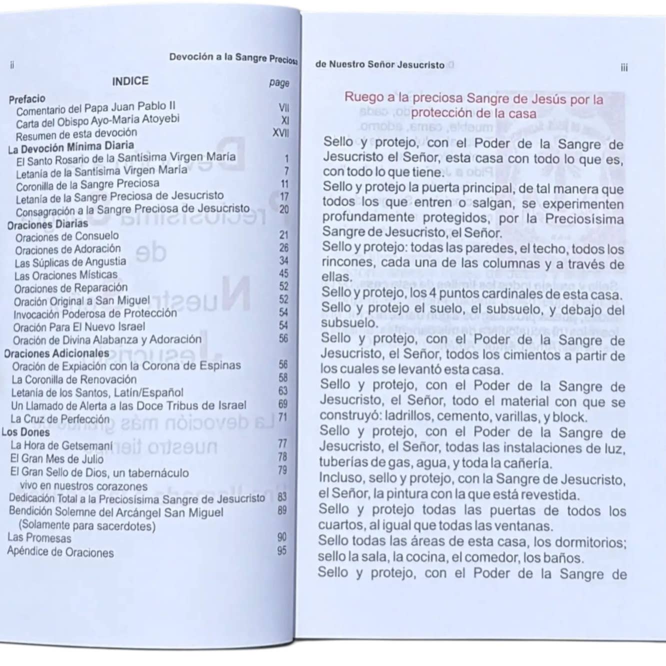 Oremus Mercy - Vente Religion - Livre - Dévotion au Précieux Sang de Notre Seigneur Jésus-Christ2