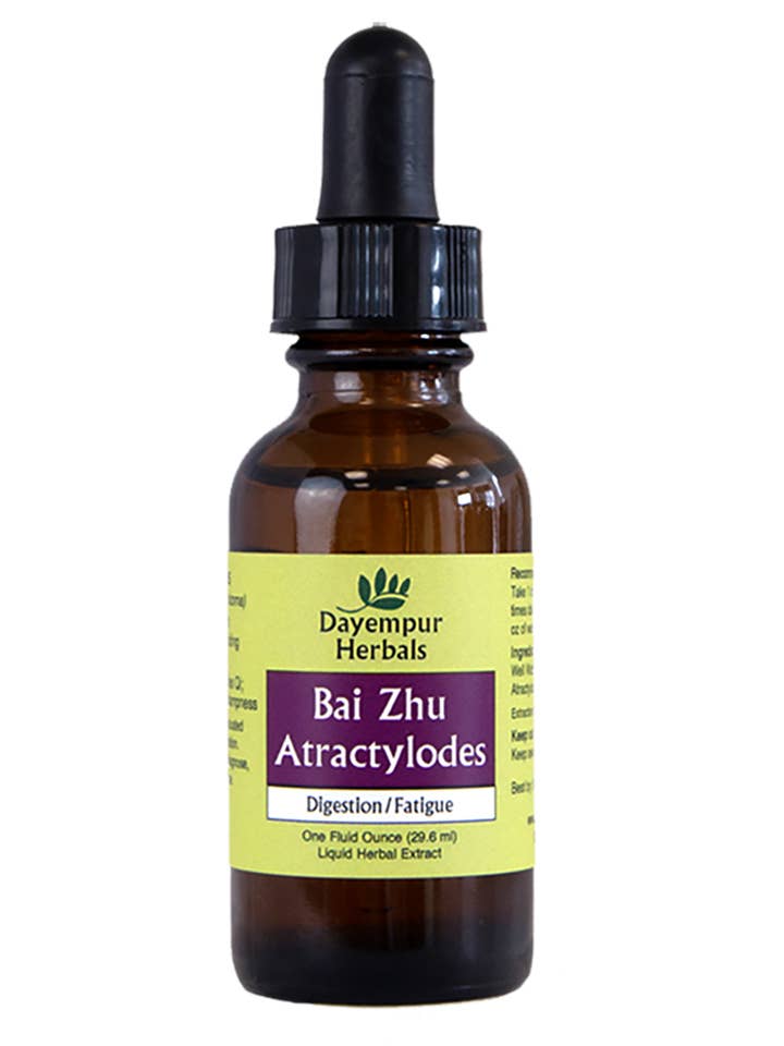 Bai Zhu for wholesale by Dayempur Herbals