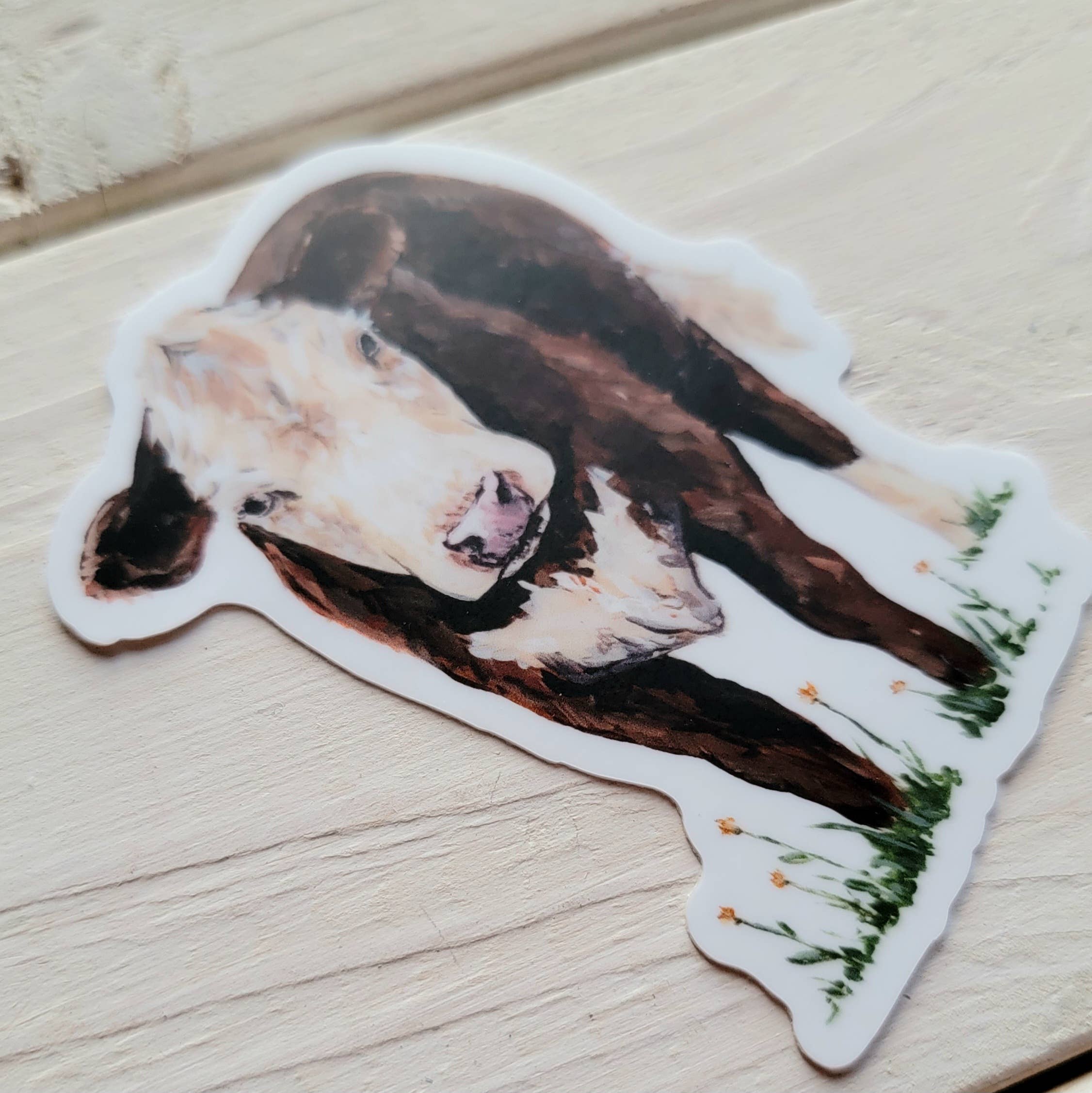 The Cranberry Finch - Wholesale Sticker - Hereford Red and White Cow Vinyl Sticker3