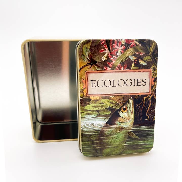 Montrose Biology - Wholesale Card Game - Ecologies Card Game Metal Tin - Archerfish Image