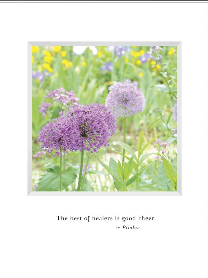 B550 - Renewal for wholesale by Stonehenge Designs