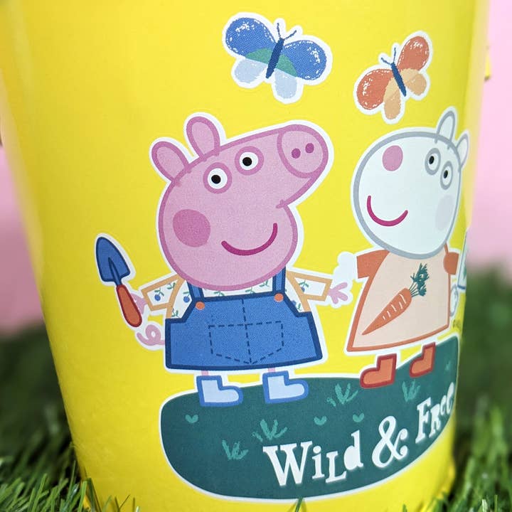 Robert Frederick Ltd - Vente Seau – enfant - Seau en métal Peppa Pig pour enfants3