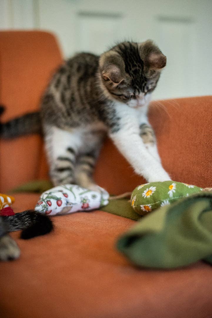 Planet B, Inc. - Wholesale Pet Toy - Cat - Scrap Fabric Cat Toys8