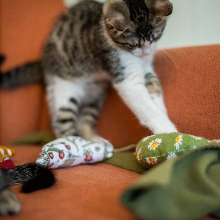 Planet B, Inc. - Wholesale Pet Toy - Cat - Scrap Fabric Cat Toys8