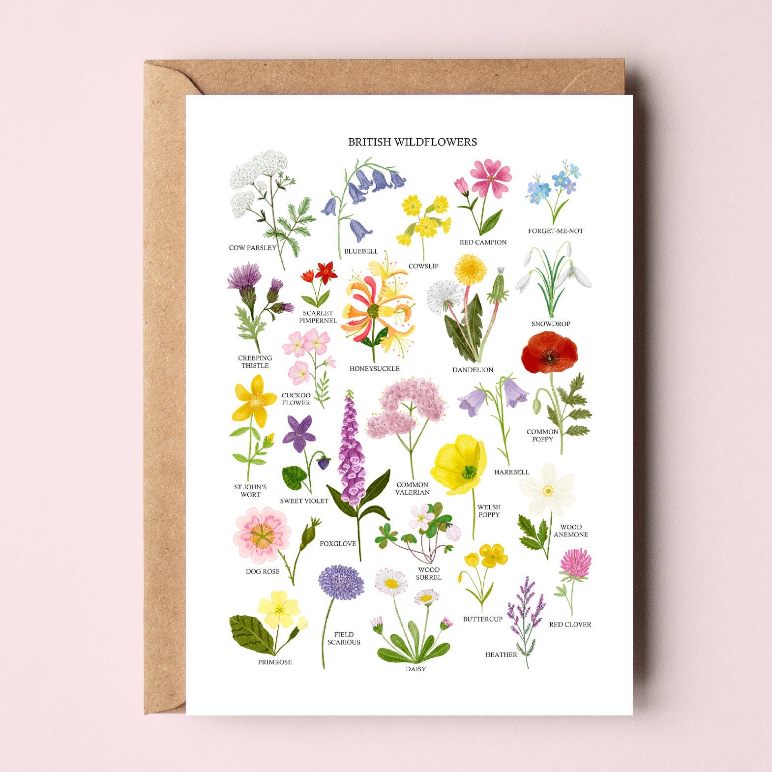 Sarah Frances - Wholesale Everyday Greeting Card - British Wildflowers Greetings Card0