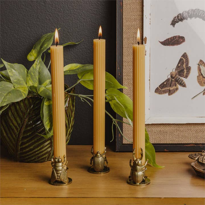 Audrey's Home & Gift - Wholesale Candle Holder - Candle Holders - Short Golden Bugs (3 Designs) (PK/12 AST)