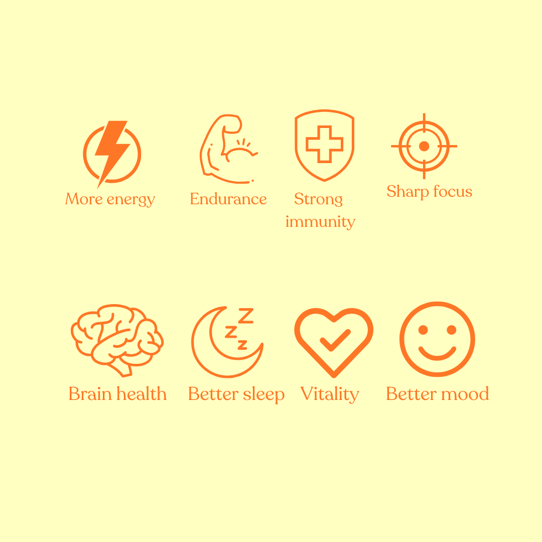 OhSoTOO b.v. - Wholesale Instant Coffee/Espresso - TOO mushroom coffee2