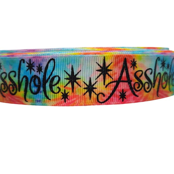 Asshole Rainbow Nylon Dog Collar for wholesale by Doot's Pet - Collars For A Cause