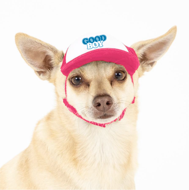 PupLid - Wholesale Pet Hat - Dog - Good Boy | Trucker Hat for Dogs4