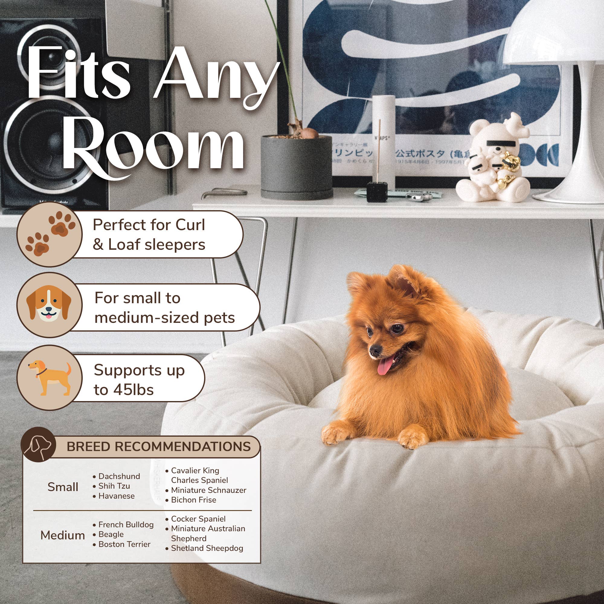 WHISKERHAUS LLC - Vente Lit – chat et chien - WHISKERHAUS Lit de luxe moderne premium pour chats et chiens - OSLO6