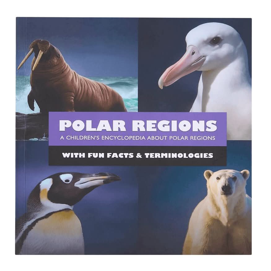 Abracadabra Books - Wholesale Early Reader Book (6-8) - Mini Explorers: Hardcover Box Set6