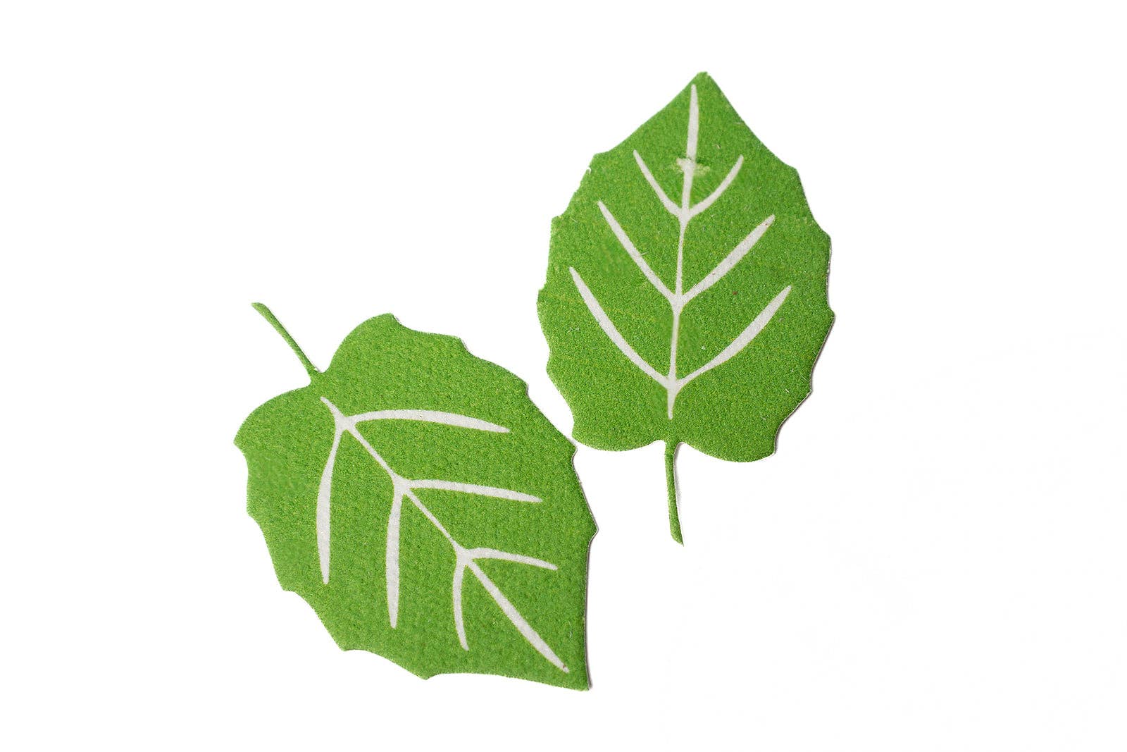 Meemzy Magic - Wholesale DIY Craft Kit - Kids - When Dinosaurs Roamed The Earth9