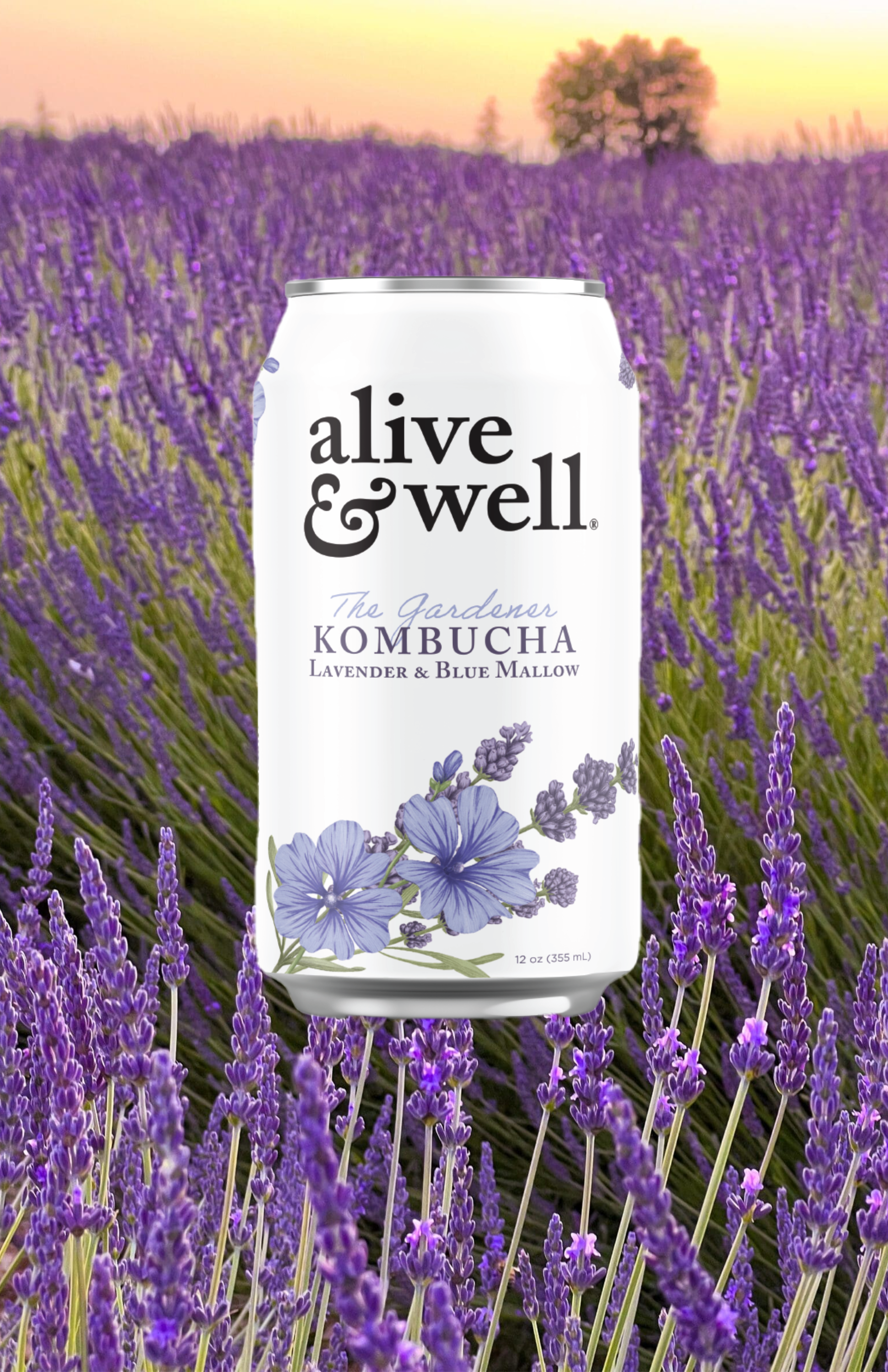 Alive & Well Kombucha - Wholesale Kombucha - Lavender & Blue Mallow - Alive & Well Kombucha Organic2
