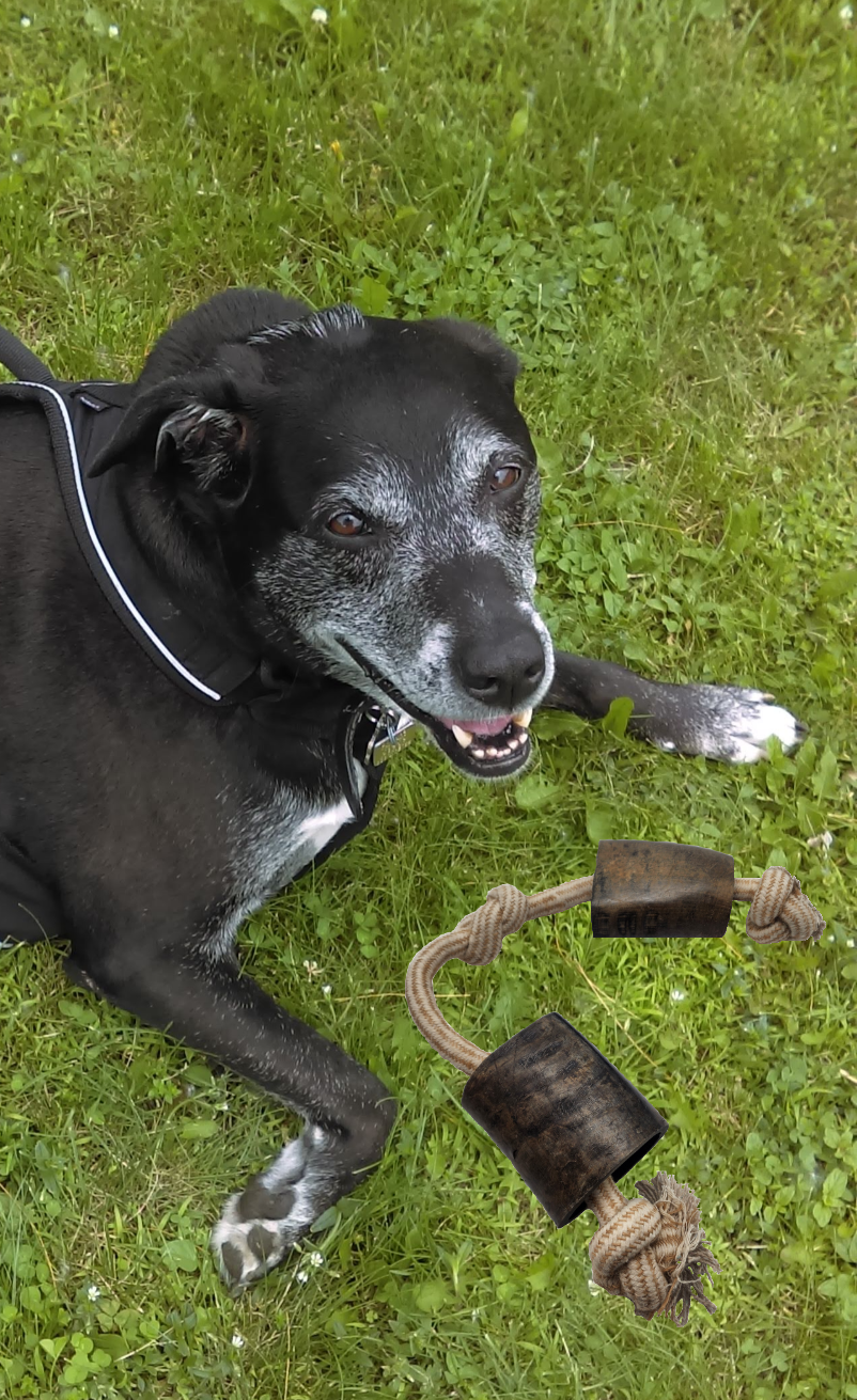 Advance Pet Products - Wholesale Pet Rope Toy - Dog - Rope with Water Buffalo Horns! Variety of sizes!2