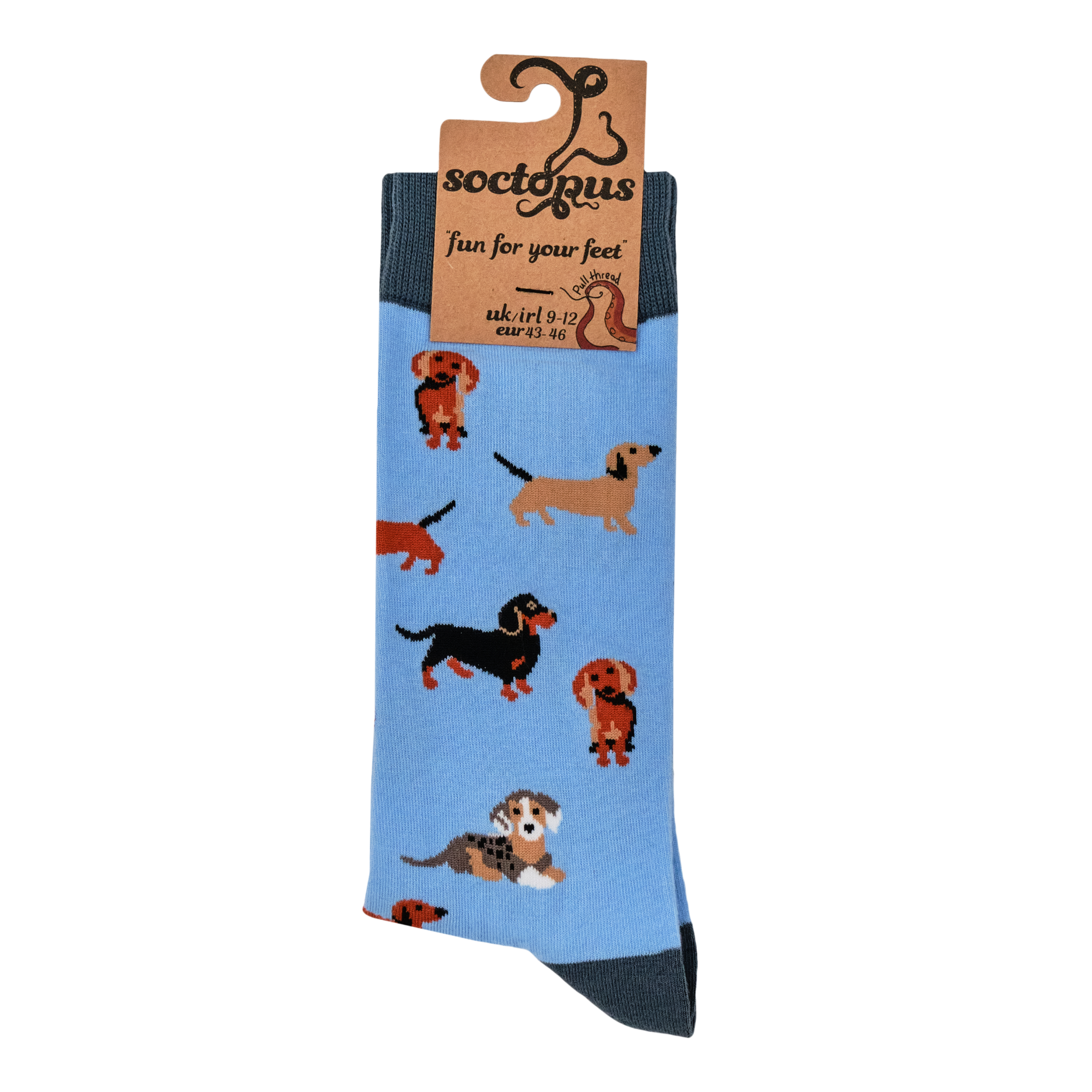 Socktopus - Vendita all'ingrosso Calzini - Unisex - Calzini per cani Sausage - Dasching Around 24