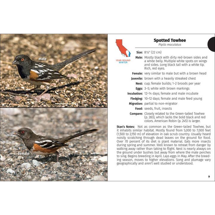 AdventureKEEN - Wholesale Nature & Outdoors - Birds of California Field Guide 2e3