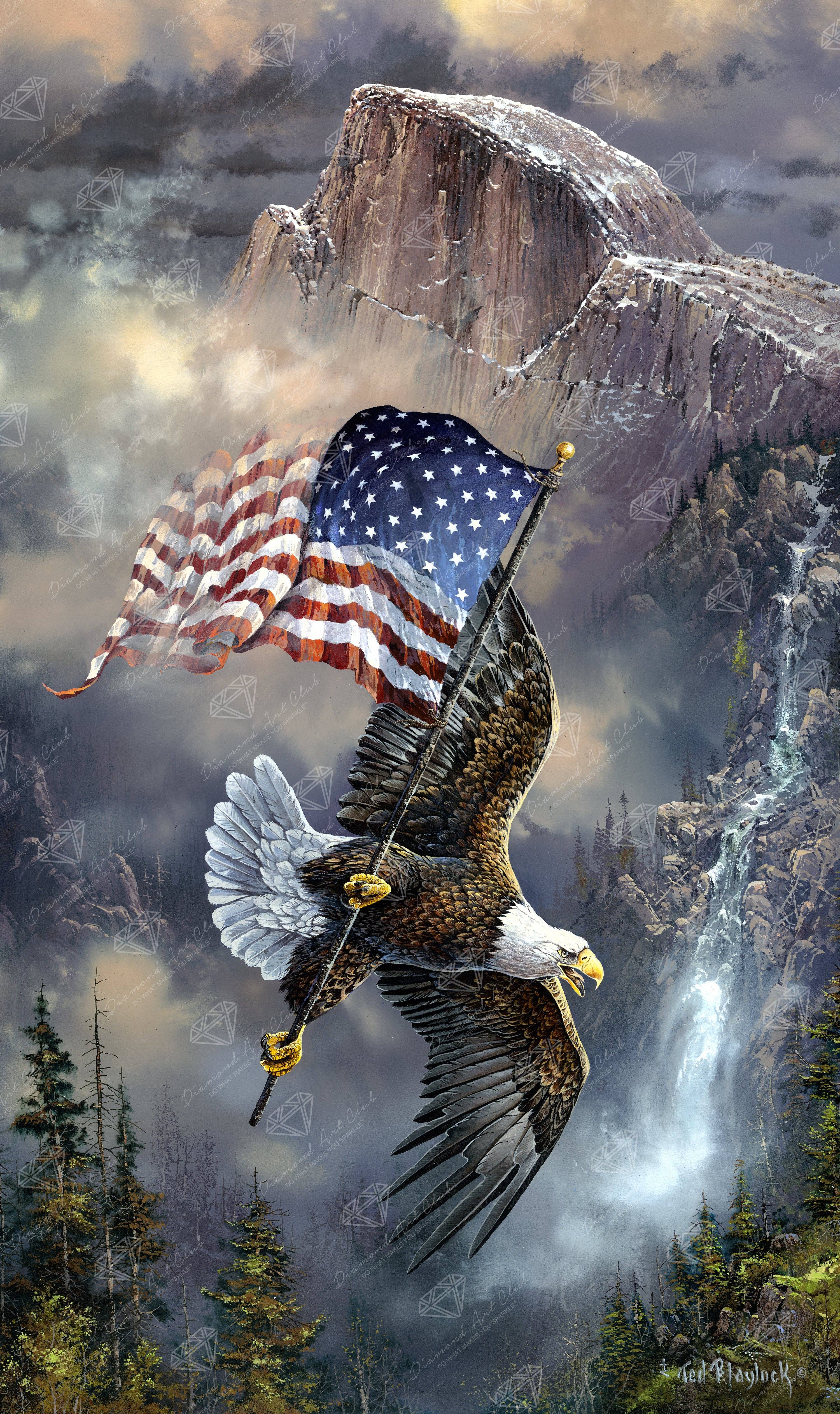 Diamond Art Club - Wholesale DIY Craft Kit - Old Glory at Half Dome0