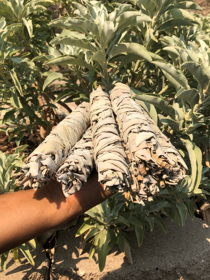 Homegrown JUMBO 8" CA White Sage Smudge Sticks for wholesale by Like International