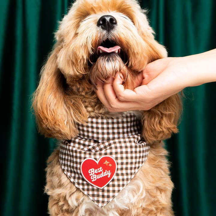 Scout's Honour Pty Ltd - Wholesale Pet Bandana - Dog - Best Buddy iron-on patch for dogs and cats2