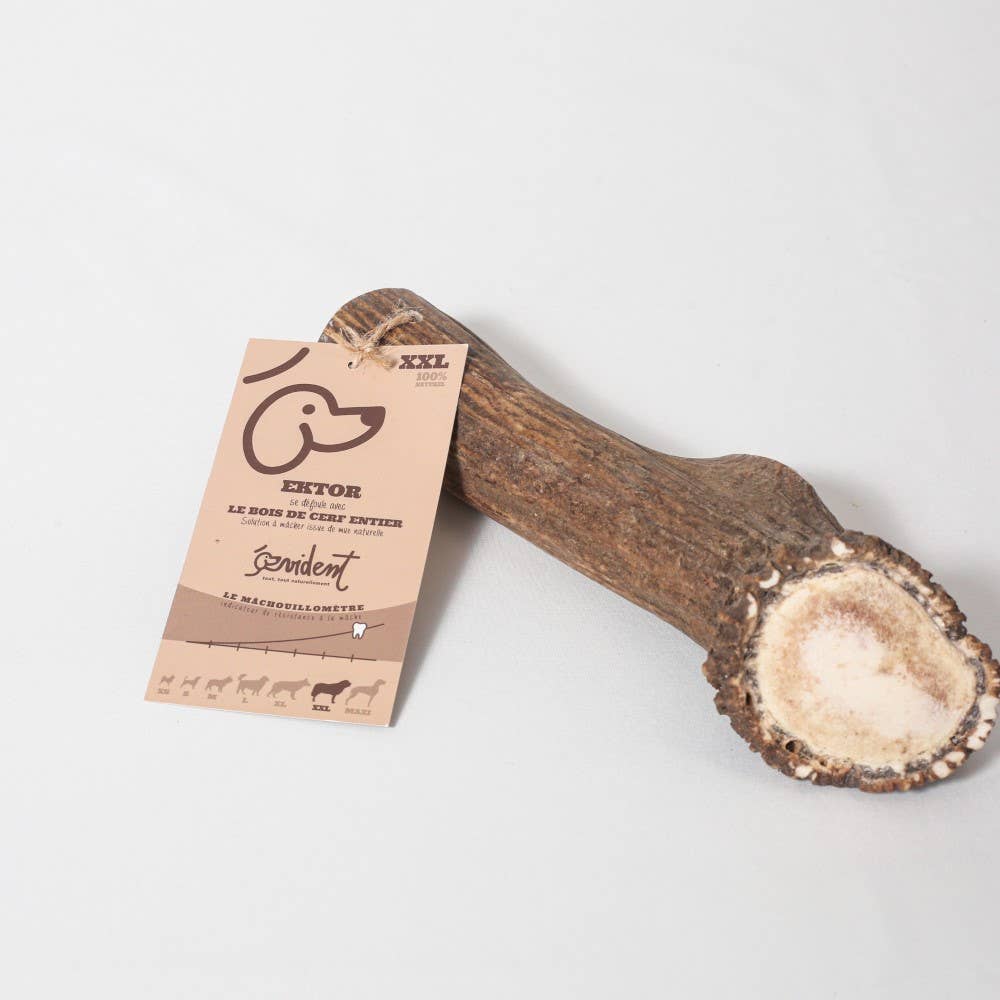 Evident - Wholesale Pet Bone/Rawhide - Dog - EKTOR - Whole deer antler to chew on for dogs4