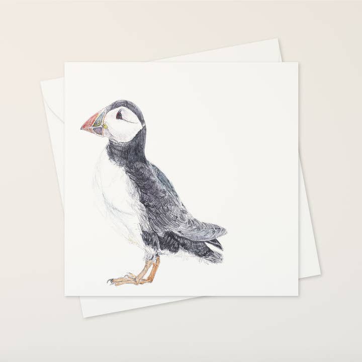 puffin greetings card for wholesale by katiebirdie