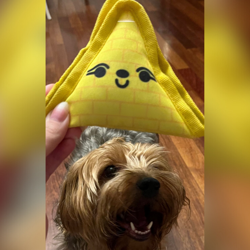 WufWuf - Wholesale Pet Toy - Dog - WufWuf 2-in-1 Pyramid Interactive Treat Dispensing Dog Toy3